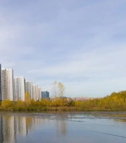 Белые росы