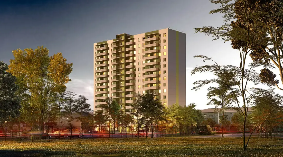 Новая жизнь